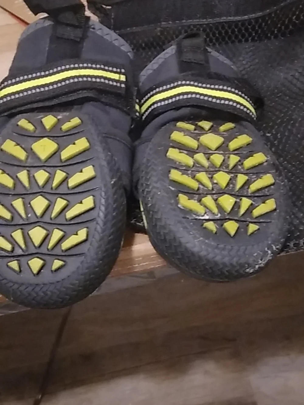 Arcadia Trail All-Terrain Dog Boots